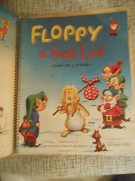 Floppy in Santa Land Book