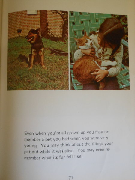 "1975 Tell Me, Mr. Rogers, About" Book - Learning to Read, Sleeping Away
