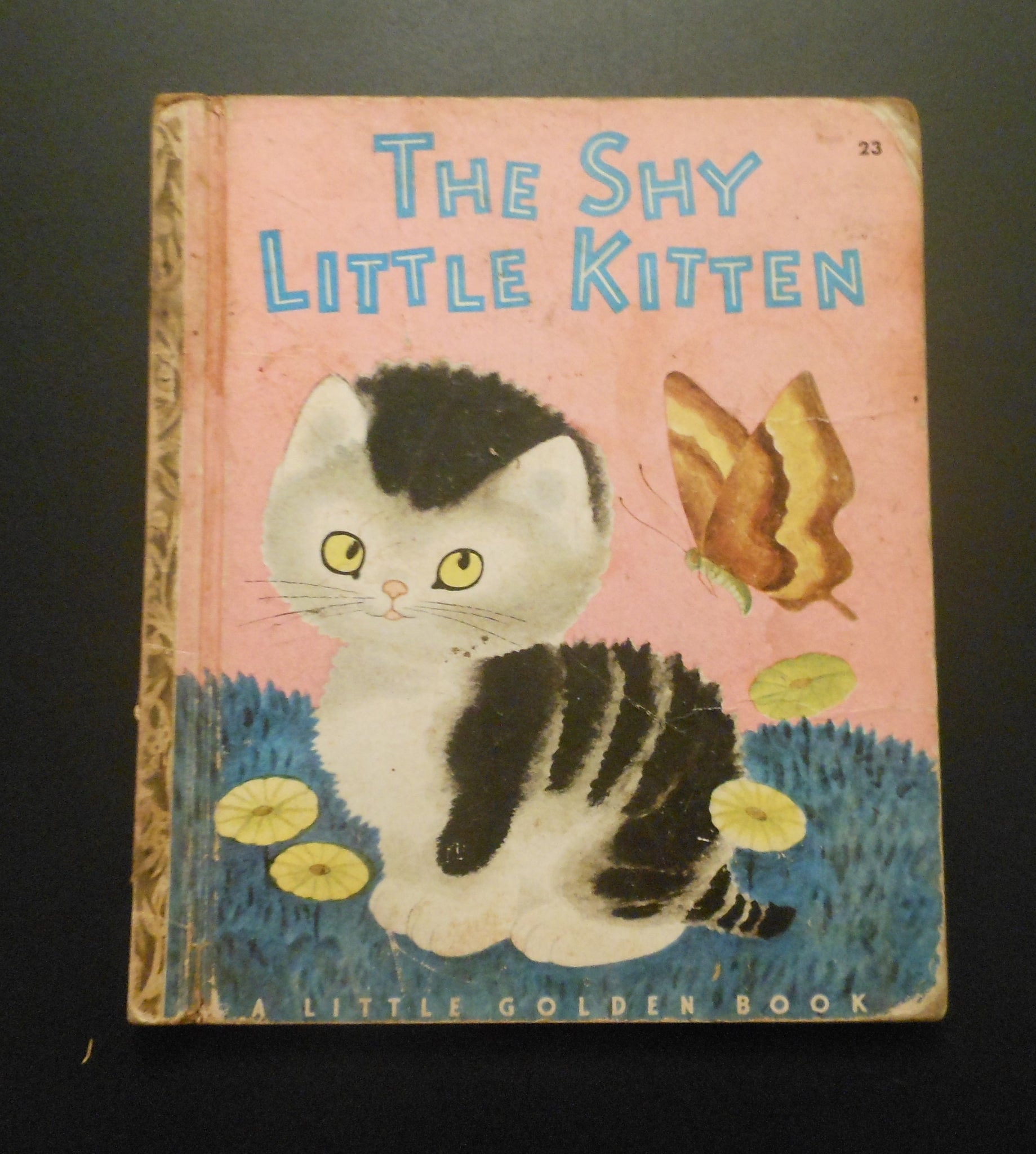 The Shy Little Kitten Little Golden Book